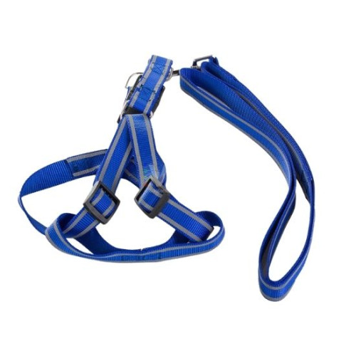 Шлейка для кошек и собак + светоотражающий поводок 1,5 см синий